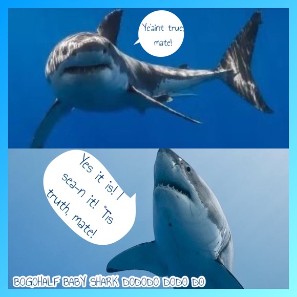 BOGOHALF ALL KIDS CLOSET - Picture 4 of 8